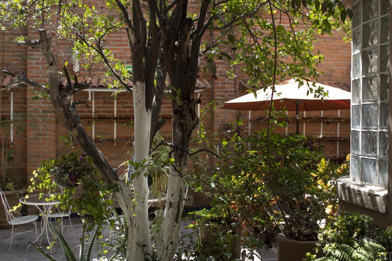 Mansion Mijashe Wellness & Travel House Morelia Exterior photo
