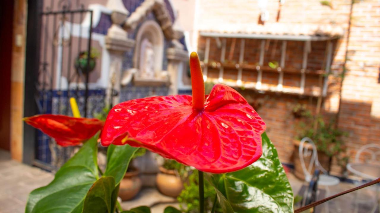 Mansion Mijashe Wellness & Travel House Morelia Exterior photo